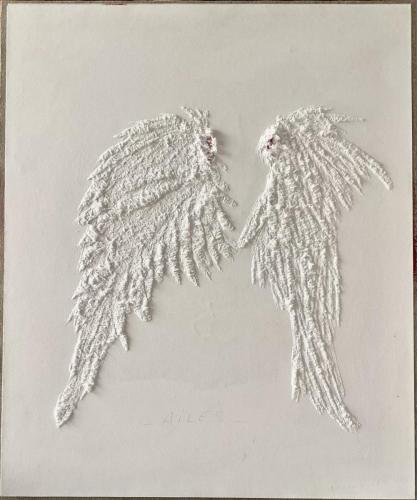 Ailes - Images de vestiges - Vestiges d'images -2023