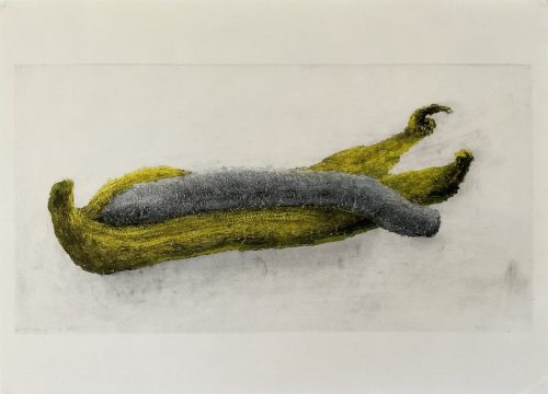 Banane morte 4 - 2025 - pastel et fusain sur papier ofset - 59 x 30,4 cm