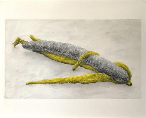 Banane morte 5 - 2025 - pastel et fusain sur papier offset - 52,4 x 30,4 cm