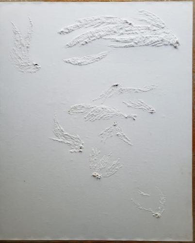 Les-Plumes - Images de vestiges - Vestiges d'images -  2023