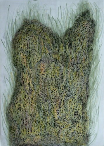 Paysage 2014 - Etang-de-Froidmont-7-2018-Pastel-sur-calque-et-papier-40-x-35