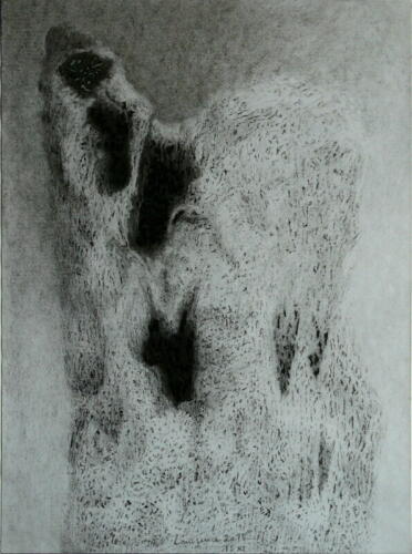 Paysage 2014 - Etang-de-Froidmont-8-2018-technique-mixte-sur-papier-40-x-35