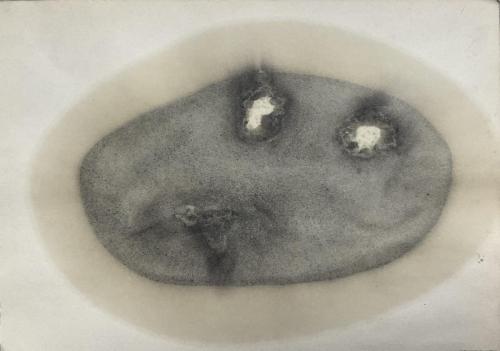 L'Origine des restes - 2023 - craie fusain encre et huiles sur papier - 25,5 x 36 cm