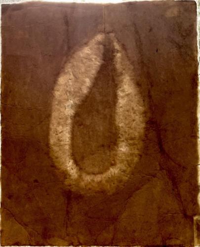 La-peau-suspendue - 2023 - Verso - en contre-jour