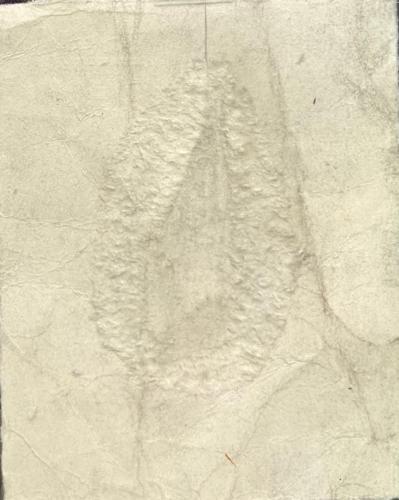 La-peau-suspendue - 2023 - Recto - en lumière