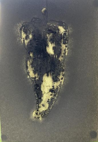 Le Poivron - 2023 - papier Arches gratté et arraché huile de vidange et graphite - 18 x 13 cm - Verso