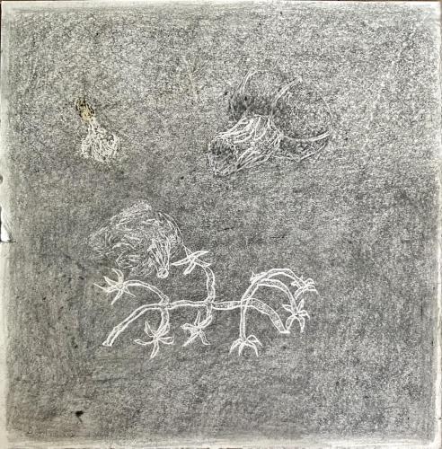 Les-Epluchures - Images de vestiges - Vestiges d'images - 2023