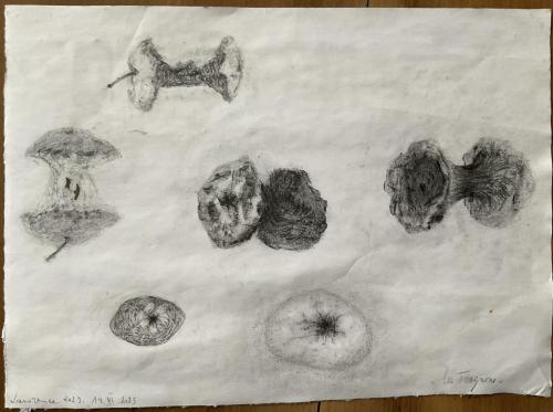 Trognons - Images de vestiges - Vestiges d'images - 2023