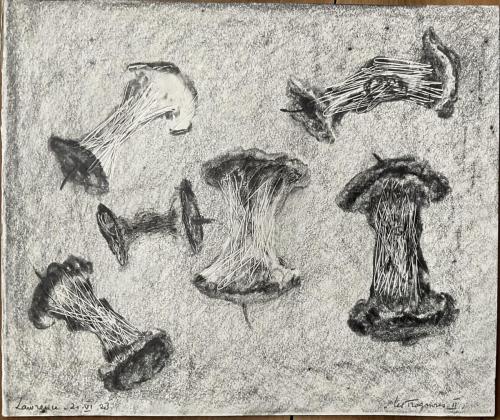 Les-Trognons-II - Images de vestiges - Vestiges d'images - 2023