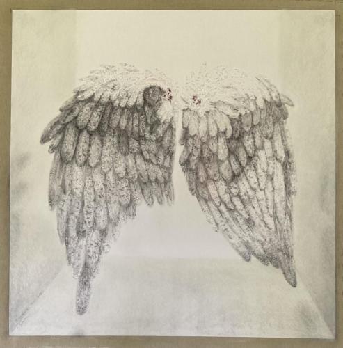 Grandes Ailes - Images de vestiges - Vestiges d'images - 2024