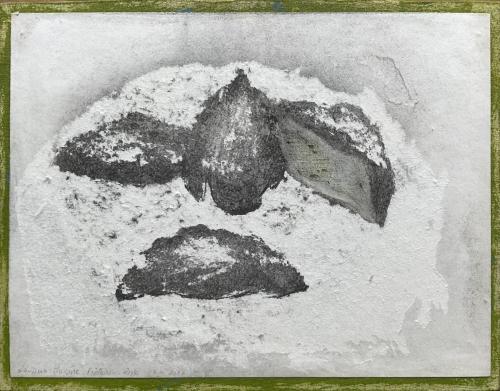 Lawrence - NM Bodegon Restes - 07 VII 2024 - papier arraché, encre et acrylique verte conrecollé sur toile - 27 x 35 cm