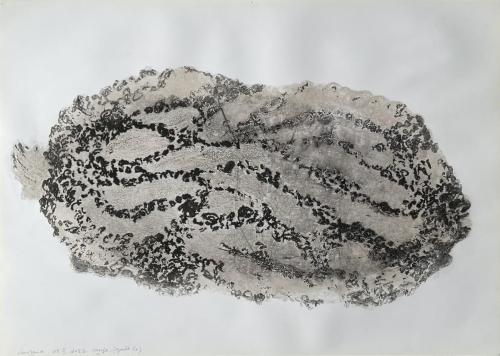 Courges Frôttures Ecrâsures (ajoutés 5x) - Fusain et pastel gras sur papier - 45 x 64 cm - 08 fév 2024