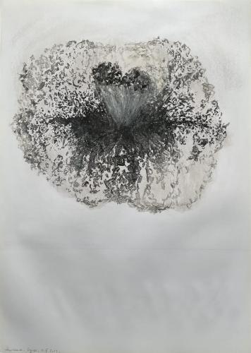 Courges II Frôttures Ecrâsures - Fusain et pastel gras sur papier - 64 x 45 cm - 12 fév 2024