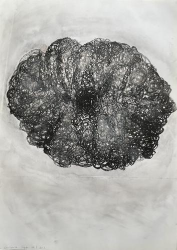 Courges III Frôttures Ecrâsures - Fusain et pastel gras sur papier - 64 x 45 cm - 12 fév 2024