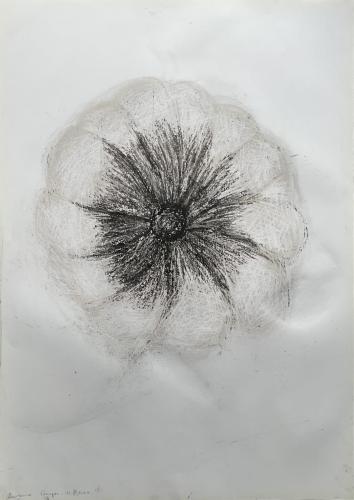 Courges IV Frôttures Ecrâsures - Fusain et pastel gras sur papier - 64 x 45 cm - 12 fév 2024