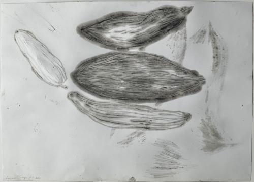 Courges Trâçures Griffûres Coupûres Huilûres - Technique mixte sur papier - 32,3 x 45,8 cm - 12 fév 2024