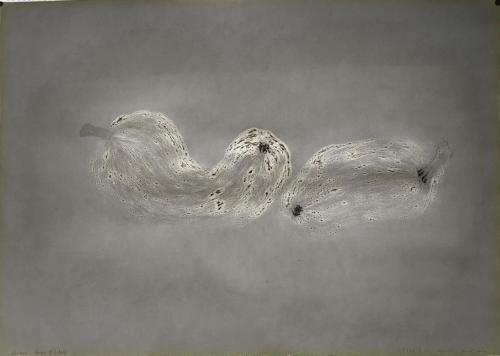 Courges (en contre-jour) - Technique mixte et huile vidange sur papier - 45 x 64 cm - 12 fév 2024