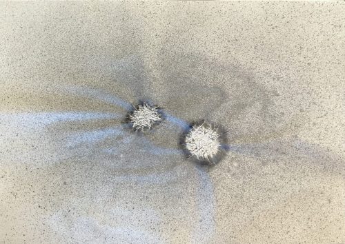 Lawrence-NM-Deux-restes-2025-fusain-et-huile-de-vidange-sur-papier-45-X-64-cm