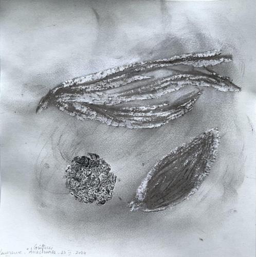 Grattûres Arrachûres - technique mixte sur papier - 20 x 20 cm - 27 fév 2024