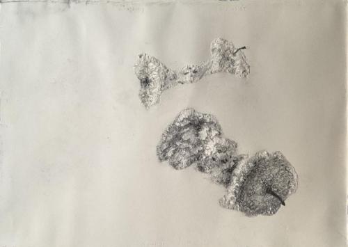 Les 2 Trognons - Images de vestiges - Vestiges d'images - 2023