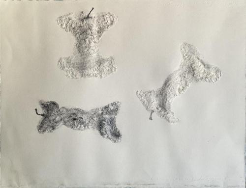 Les-3-Trognons - Images de vestiges - Vestiges d'images - 2023