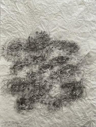 Les-Noyaux-2 - II - 2023