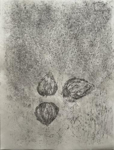 Les-Noyaux-3  - II - 2023