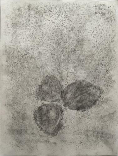 Les-Noyaux-3 - IV - 2023