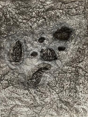 Les-Noyaux-et-les-Peaux - 2023