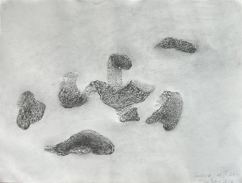 Les-Peaux 9 - II - 2023