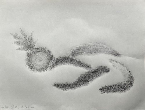 Les-Peaux 6 - III - 2023