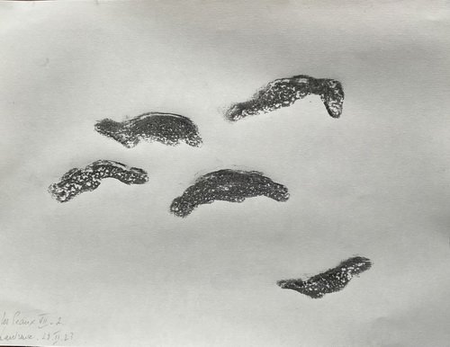 Les-Peaux 7 - II - 2023