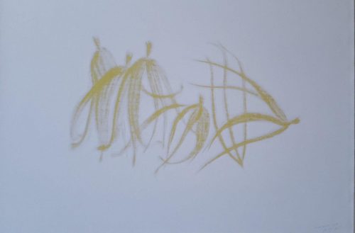 Les-peaux-jaunes-de-bananes-31-VIII-2021-papiers-abrases-50-x-708-cm