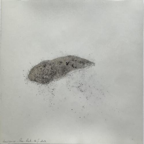 Peau reste Ecrasûres Frôttures - Tecnique mixte sur papier - 20 x 20 cm - 14 fév 2024