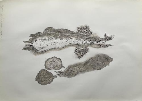 Bananes et passion (Ajouté 2x) Frôttures Ecrasûres Trâçures- Fusain et pastel gras sur papier - 64 x 45 cm - 08 fév 2024