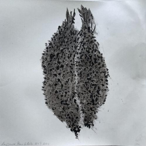 Peaux de restes - Fusain et pastel gras sur papier - 20 x 20 cm - 27 fév 2024