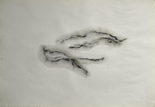 Peaux qui restent (éclairé) Trâçures Griffûres Huilûres - Technique mixte et huile vidange sur papier - 45 x 64 cm - 12 fév 2024