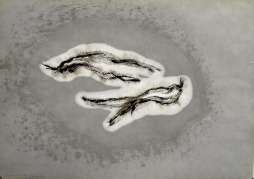 Peaux qui restent (en contre-jour) Trâçures Griffûres Huilûres - Technique mixte et huile vidange sur papier - 45 x 64 cm - 12 fév 2024