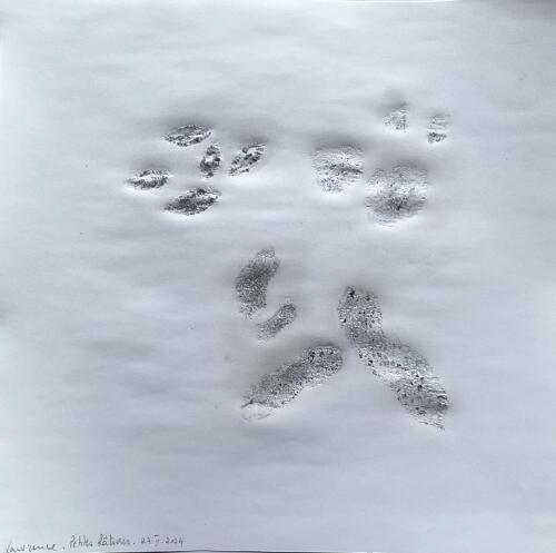 Petites Râtures - Tecnique mixte sur papier - 20 x 20 cm - 27 fév 2024