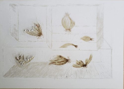 Range-des-oignons-04-X-2021-papiers-abrases-50-x-705-cm