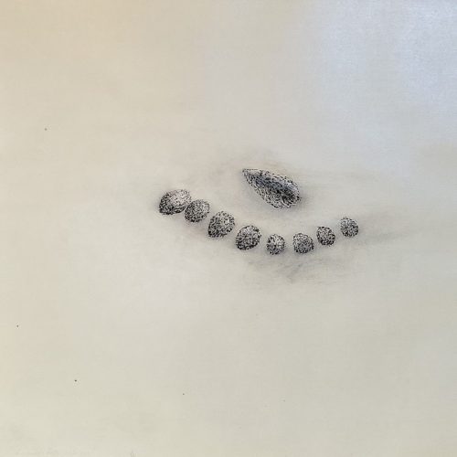 Lawrence - Reste en ronde - 2025