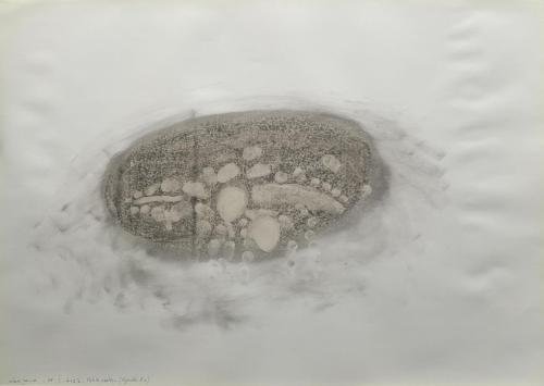 Restes (Ajouté 2x) Frôttures - Fusain sur papier - 45 x 64 cm - 08 fév 2024