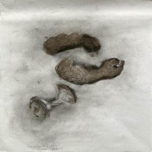 Restes (Ajouté 2x) Trâçures Frôttures - Fusain sur papier - 32,5 x 32 cm - 08 fév 2024