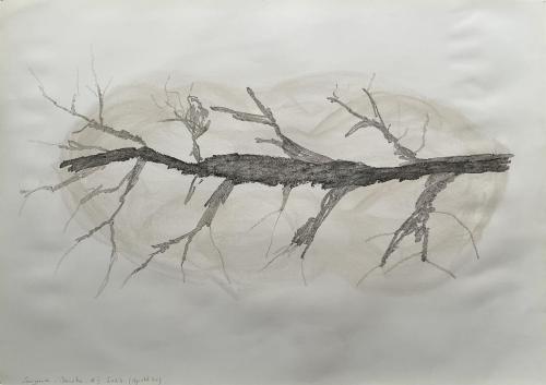 Restes (Ajouté 4x) Frôttures Trâçures - Fusain et pastel gras sur papier - 45 x 64 cm - 08 fév 2024