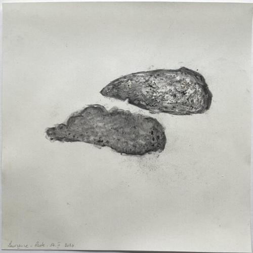 Restes Ecrâsures Trâçures Frôttures - Tecnique mixte sur papier - 20 x 20 cm - 14 fév 2024