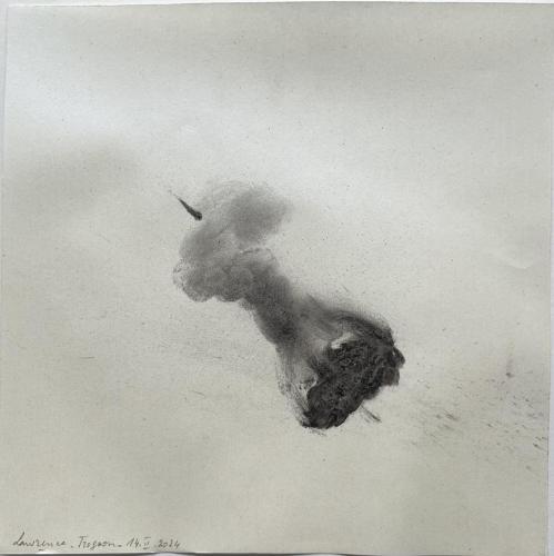 Trognon Frôttures II - Tecnique mixte sur papier - 20 x 20 cm - 14 fév 2024