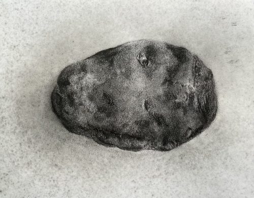Patate - 2025 - huile de vidange et fusain sur papier griffé arraché - 23,4 x 29,5 cm