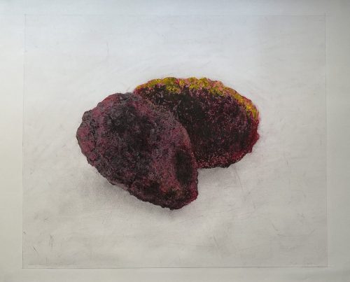 Patates - 11 11 2025 - pastel et fusain sur papier ofset - 37,5 x 42 cm cm