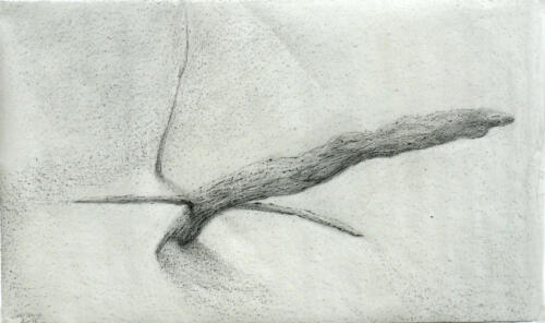 Paysage 2014 - Sous-bois de Sauveterre 1