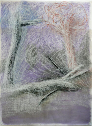 Paysage 2014 - Sous-bois de Sauveterre 4